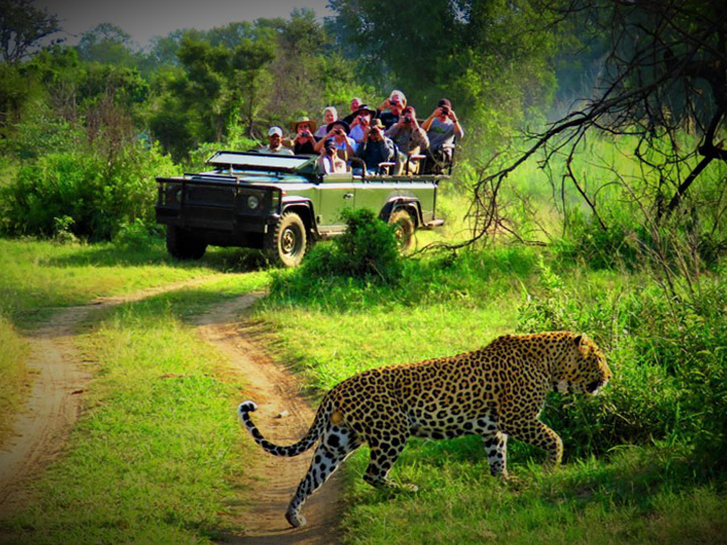jeepsafari